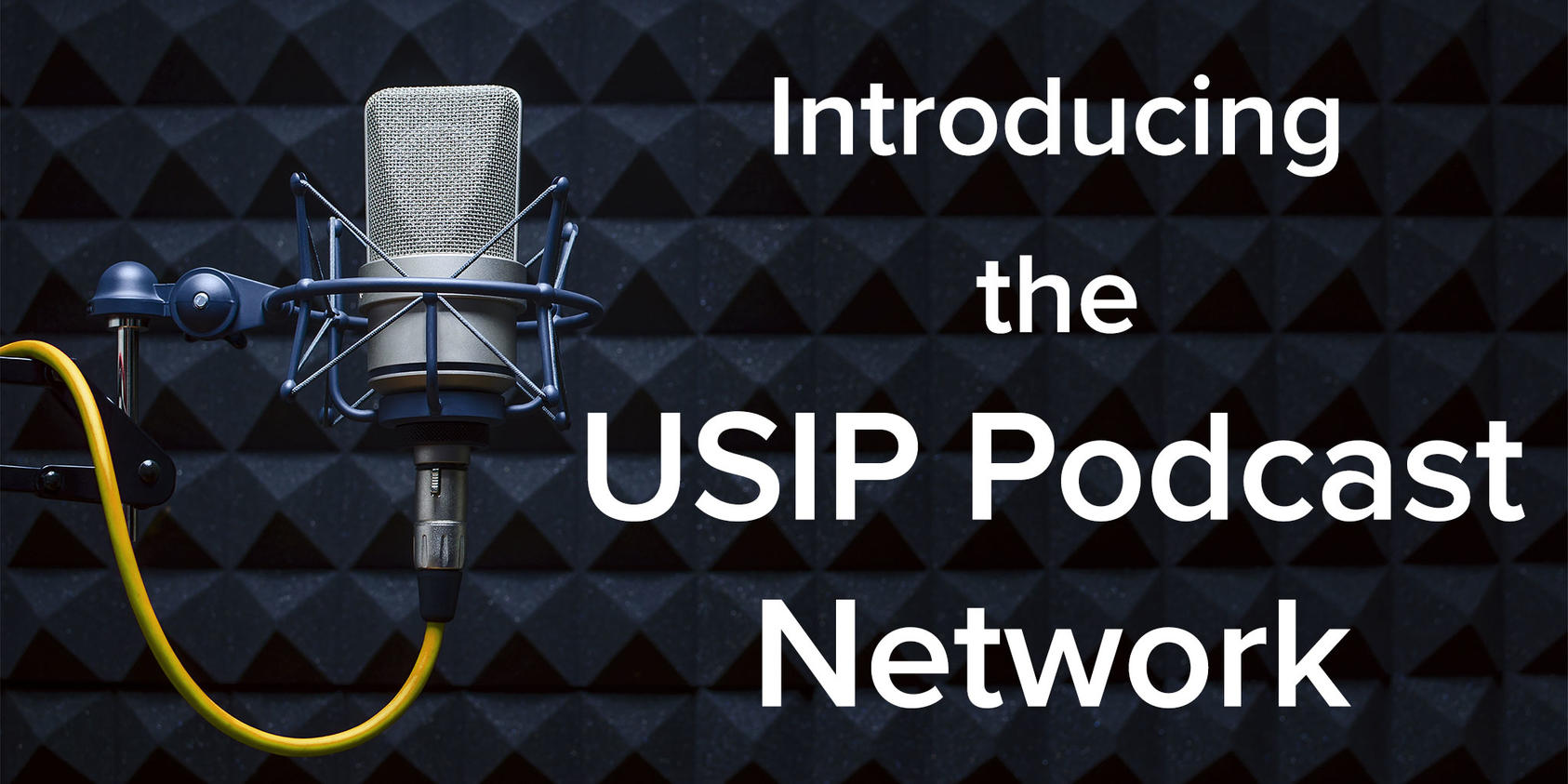 USIP Podcast Network