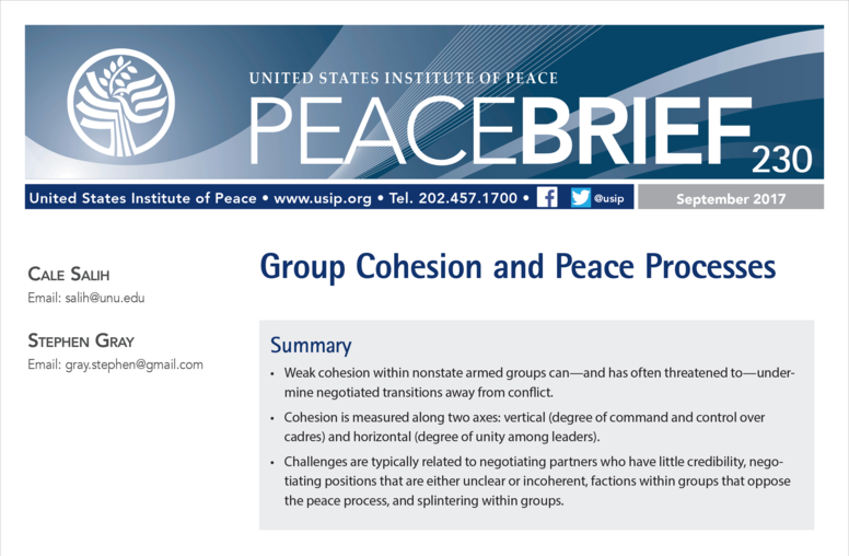 Group Cohesion and Peace Processes