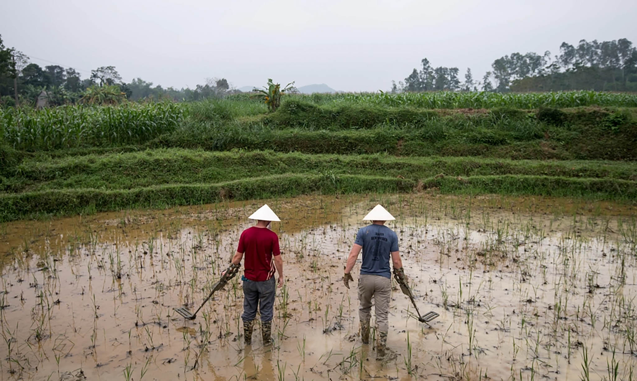 Two U.S. Air Force members search a rice paddy for possible aircraft wreckage while on a recovery mission in Nghe, Vietnam. December 4, 2017. (Staff Sgt. Matthew J. Bruch/U.S. Air Force)