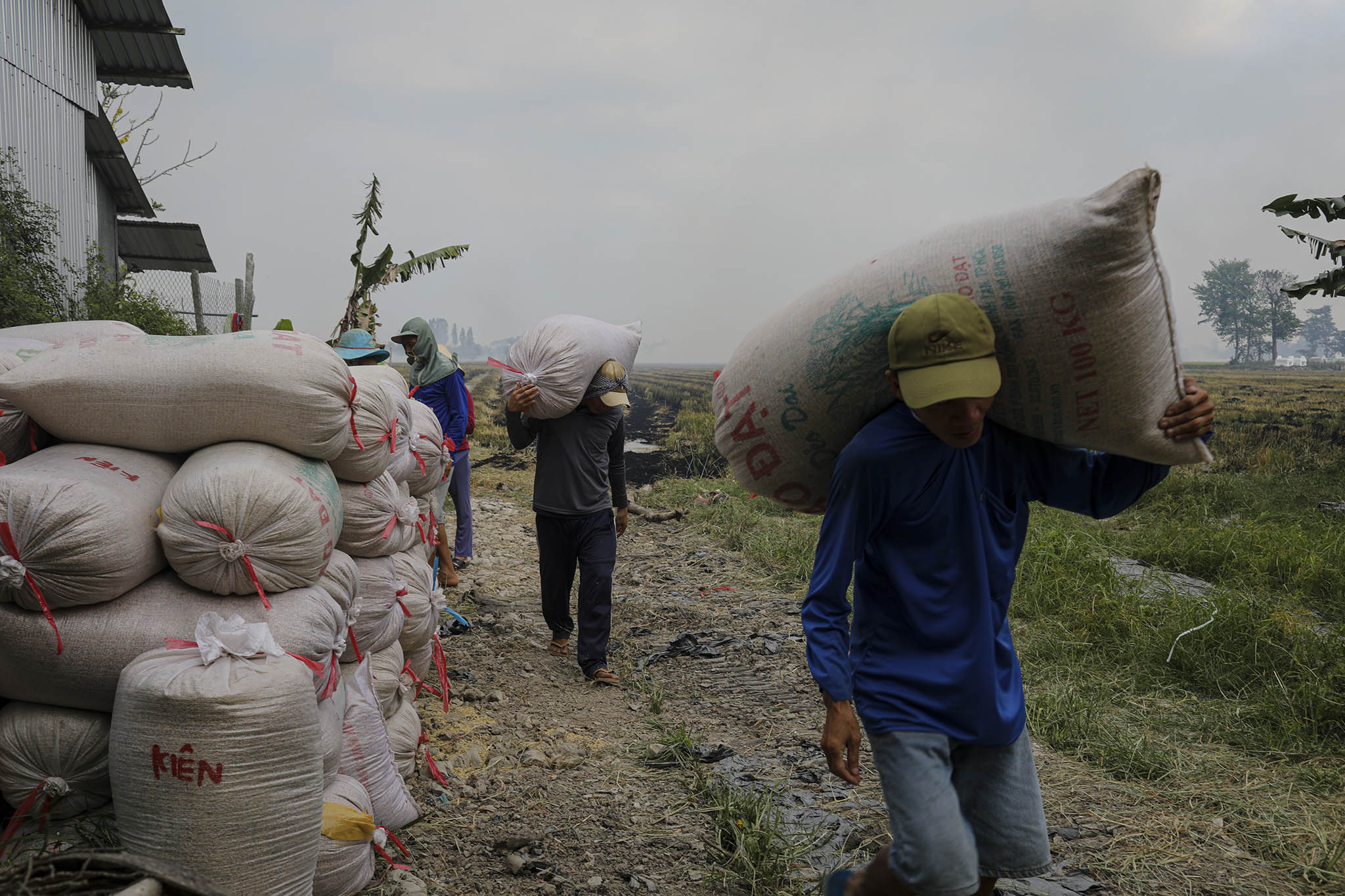 Bags of rice in the Mekong Delta, Vietnam, March 7, 2021. (Thanh Nguyen/The New York Times)