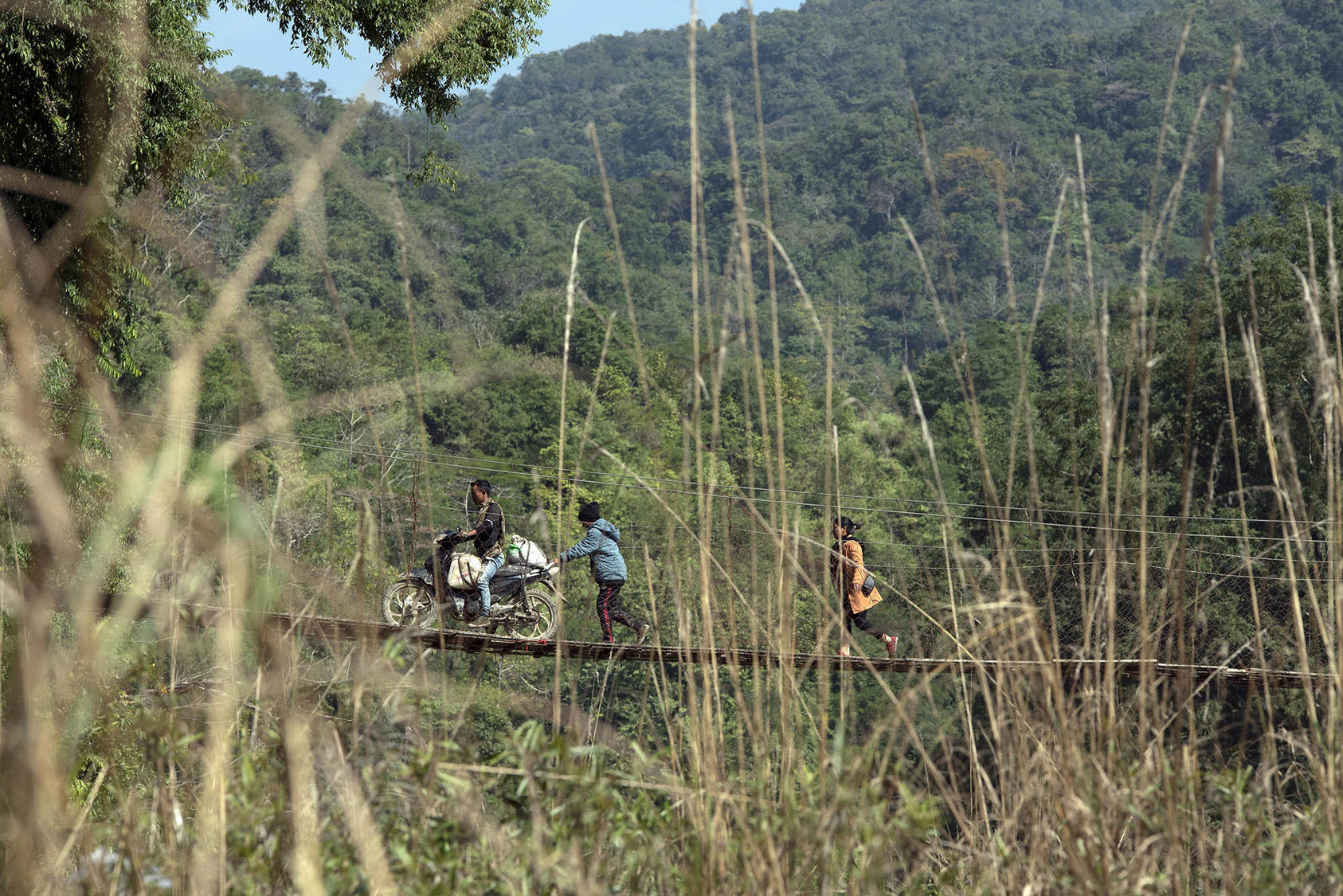 Vietnam's Empty Forests - The New York Times