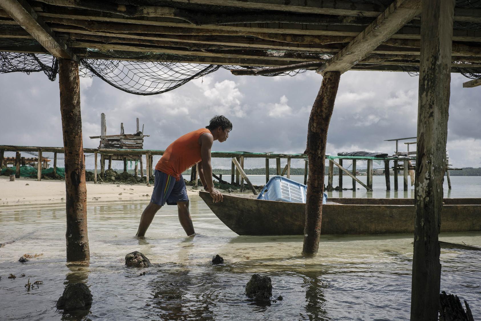 A man unloads farmed seaweed onto a drying dock in Beniamina Island, part of the Solomon Islands, June 5, 2018. (Adam Ferguson/The New York Times)