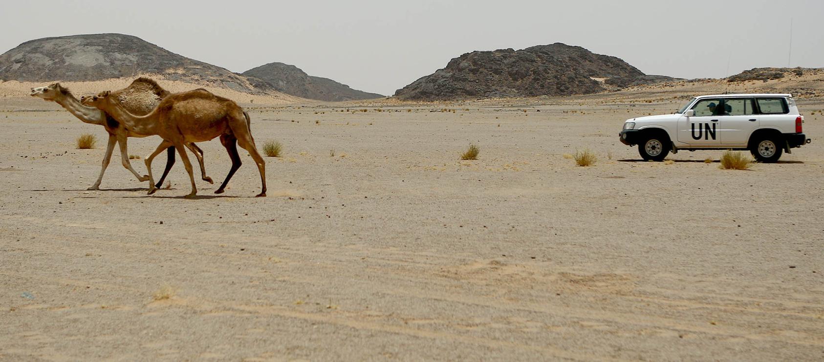 A U.N. ceasefire monitoring team stops on a patrol in the Western Sahara in 2010; 14 years later, the conflict remains militarily stalemated, but Morocco has won diplomatic advantage. (U.N. Photo/Martine Perret/CC License 2.0)