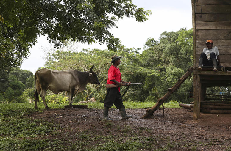 Earth’s best defenders are Indigenous. They pay a price: violence.