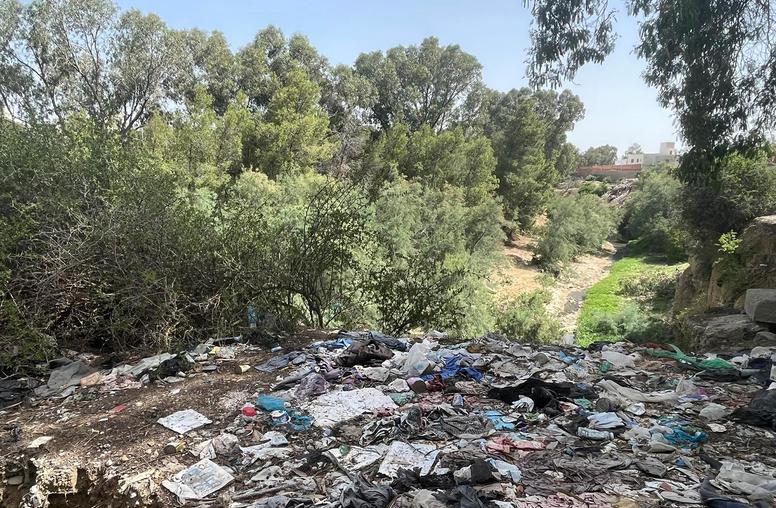 Local Solutions for Tunisia’s Environmental Crises 