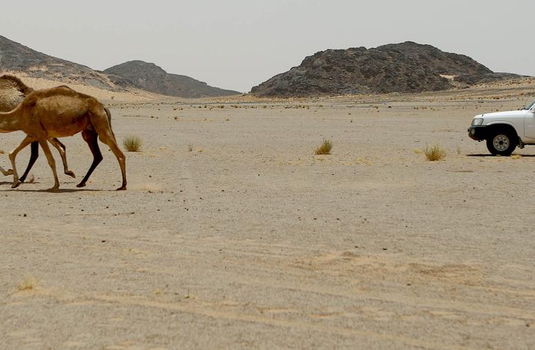 Western Sahara’s conflict Is over. Negotiating the terms comes next.